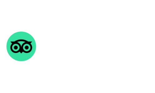 trip advisor